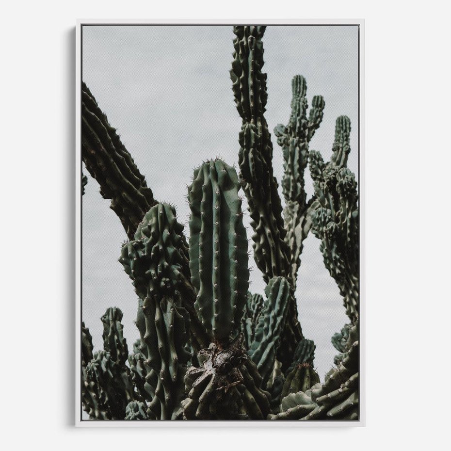 Obraz w ramie 70x100 - Boho oaza wśród kaktusów - kaktusy, pustynia - rama biała