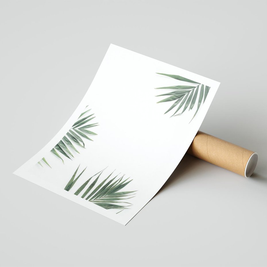 Plakat bez ramy 21x30 - Liście Palmy na Czystym Tle - liście palmy, białe tło