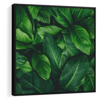 Obraz w ramie 50x50 - Palma Liście Kwiat - palma, liście - rama czarna