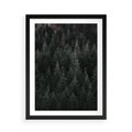 Plakat w ramie 50x70 - Wysoko nad Iglastym Lasem - las, perspektywa - rama czarna