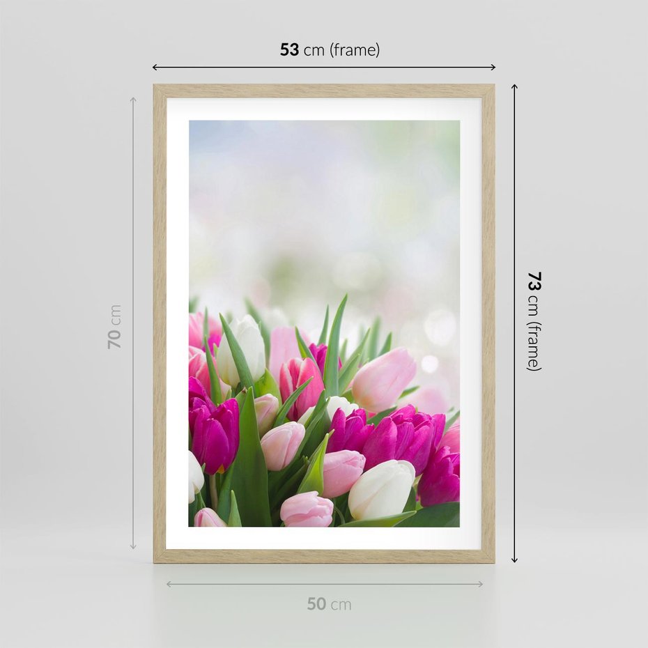 Plakat w ramie 50x70 - Tulipany w pełnym rozkwicie - tulipany, kwiaty - rama drewno