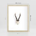 Plakat w ramie 40x50 - Minimalistyczne Poroże Jelenia - poroże jelenia na ścianie, minimalizm - rama drewno