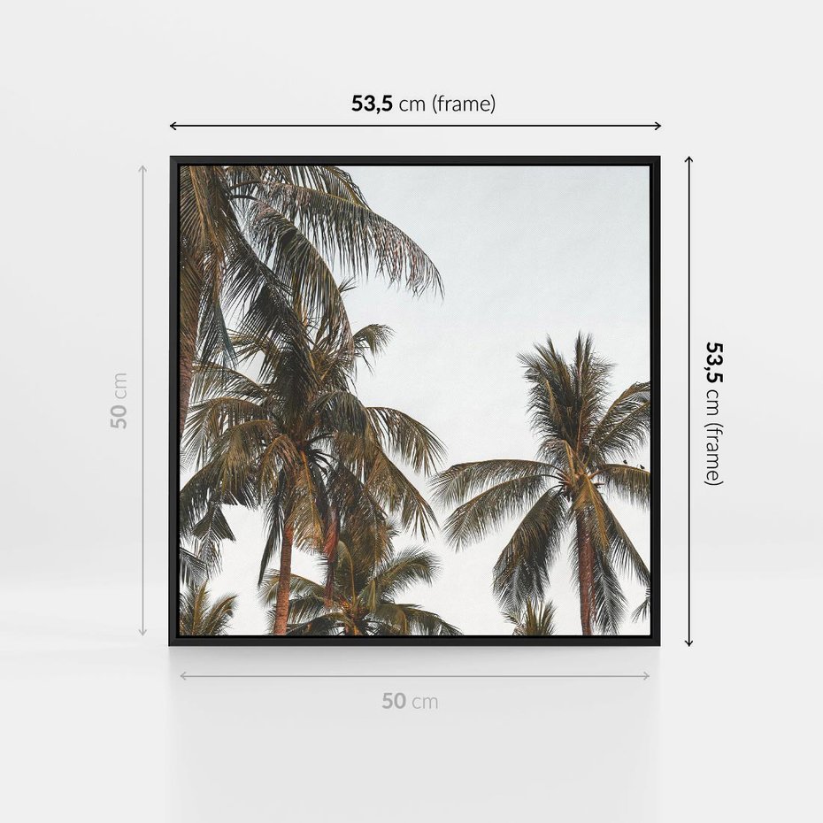 Obraz w ramie 50x50 - Palmy - tęsknota za Hawajami - palmy, Hawaje - rama czarna