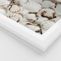 Plakat w ramie 30x40 - Białe Muszle - białe muszle, ujęcie z góry - rama biała