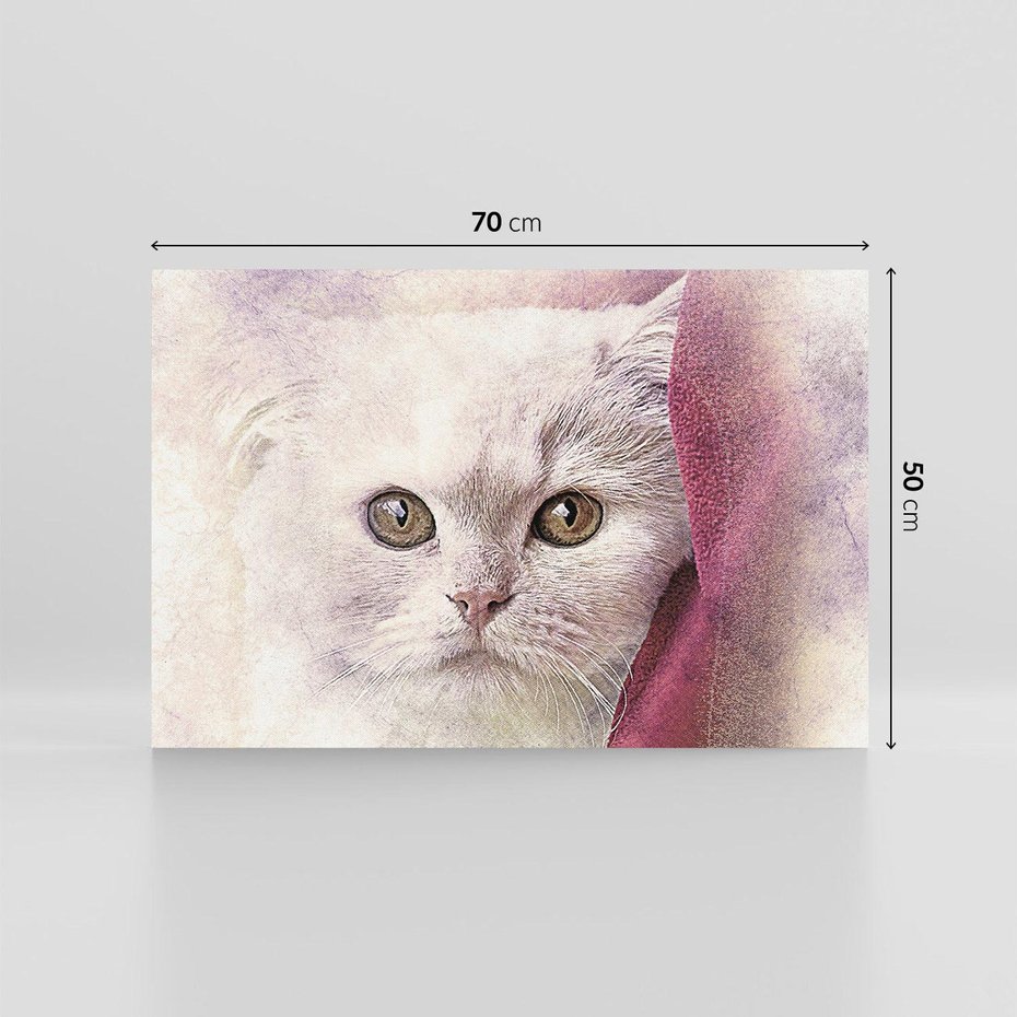 Obraz na płótnie 70x50 - Kot w abstrakcyjnym świetle - kot, abstrakcja