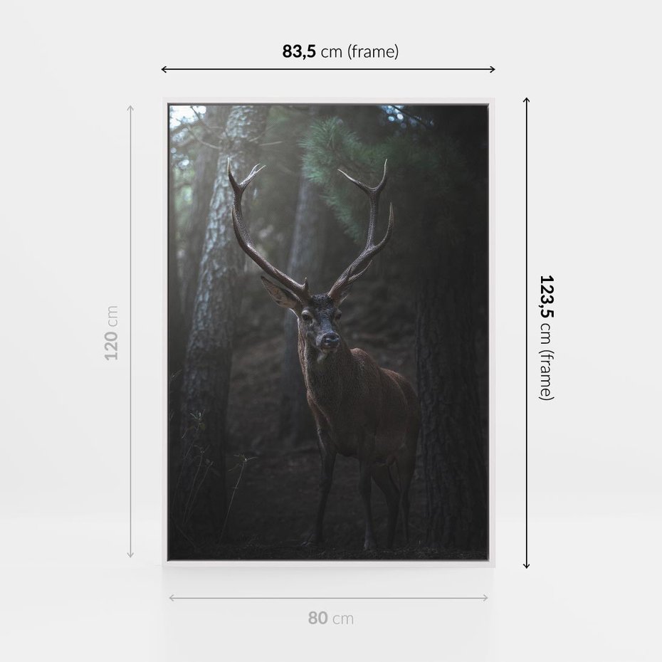 Obraz w ramie 80x120 - Jeleń wśród lasu - jeleń, las - rama biała