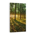 Obraz na płótnie 80x120 - Mistyfikujący urok leśnej głuszy - las, drzewa