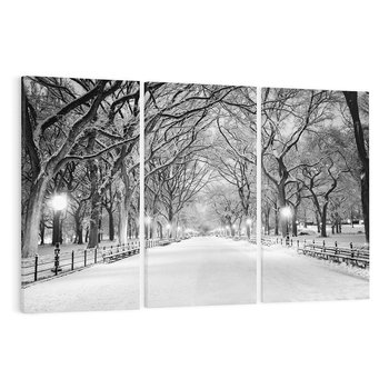 Obraz na płótnie 120x80 - cisza wśród drzew - zima, park