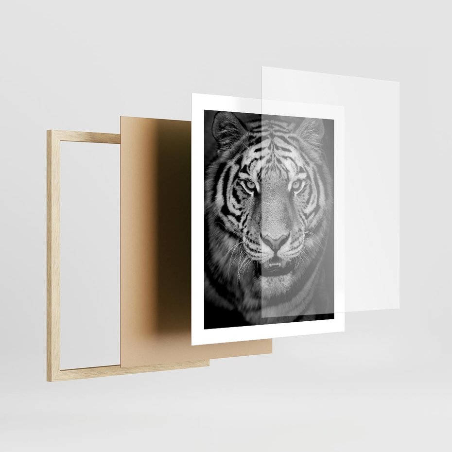 Plakat w ramie 40x50 - Tygrys Czarno-Biały: Siła i Delikatność - tygrys, czarno - rama drewno
