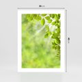 Plakat bez ramy 30x40 - Zielone liście natury - liści, zieleń