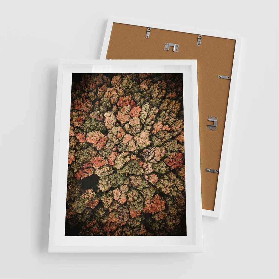 Plakat w ramie 50x70 - Jesień z Lotu Ptaka: Malowniczy Las - las jesienią z lotu ptaka - rama biała