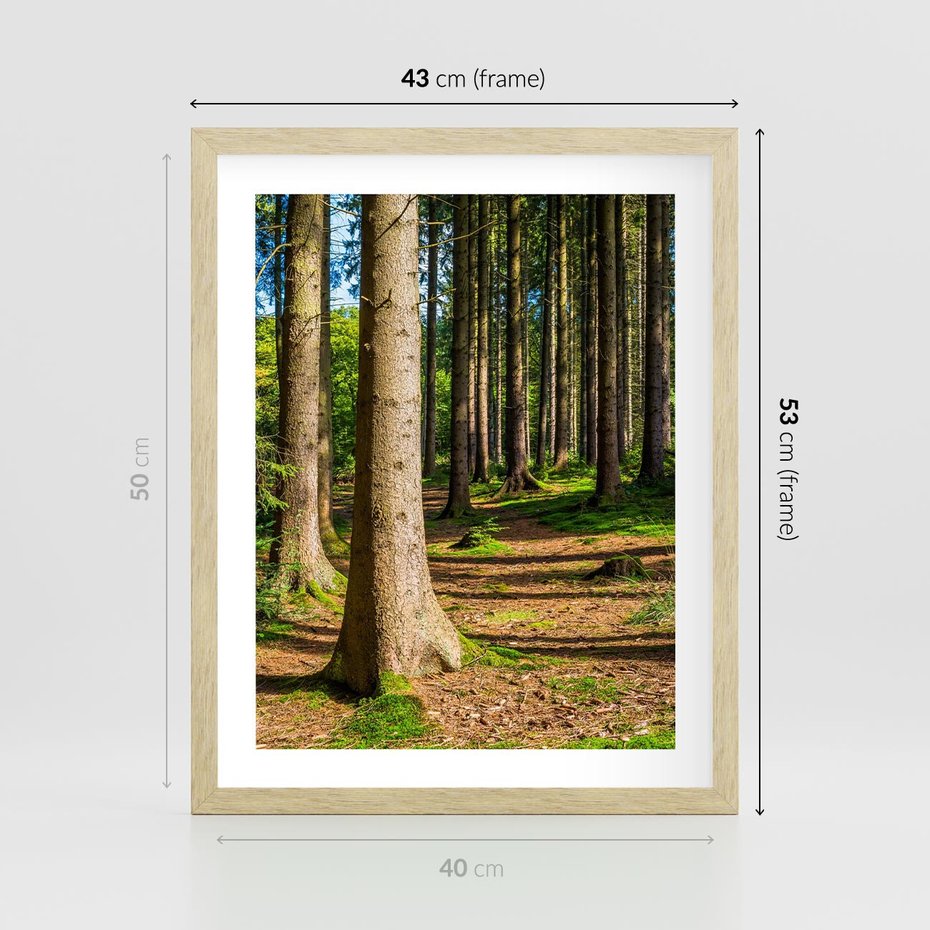 Plakat w ramie 40x50 - Las: harmonia natury - las, drzewa - rama drewno