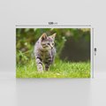 Obraz na płótnie 120x80 - Kocie polowanie w ogrodzie - kot, polowanie