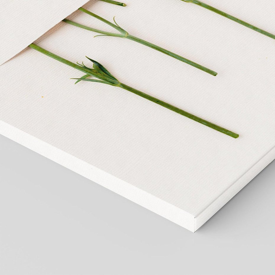 Obraz na płótnie 70x100 - Białe kwiatowe uniesienia - białe, kwiaty