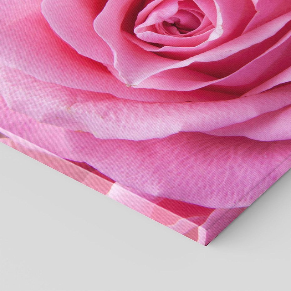 Obraz na płótnie 60x60 - Róża Wspaniałości - róża, kwiat