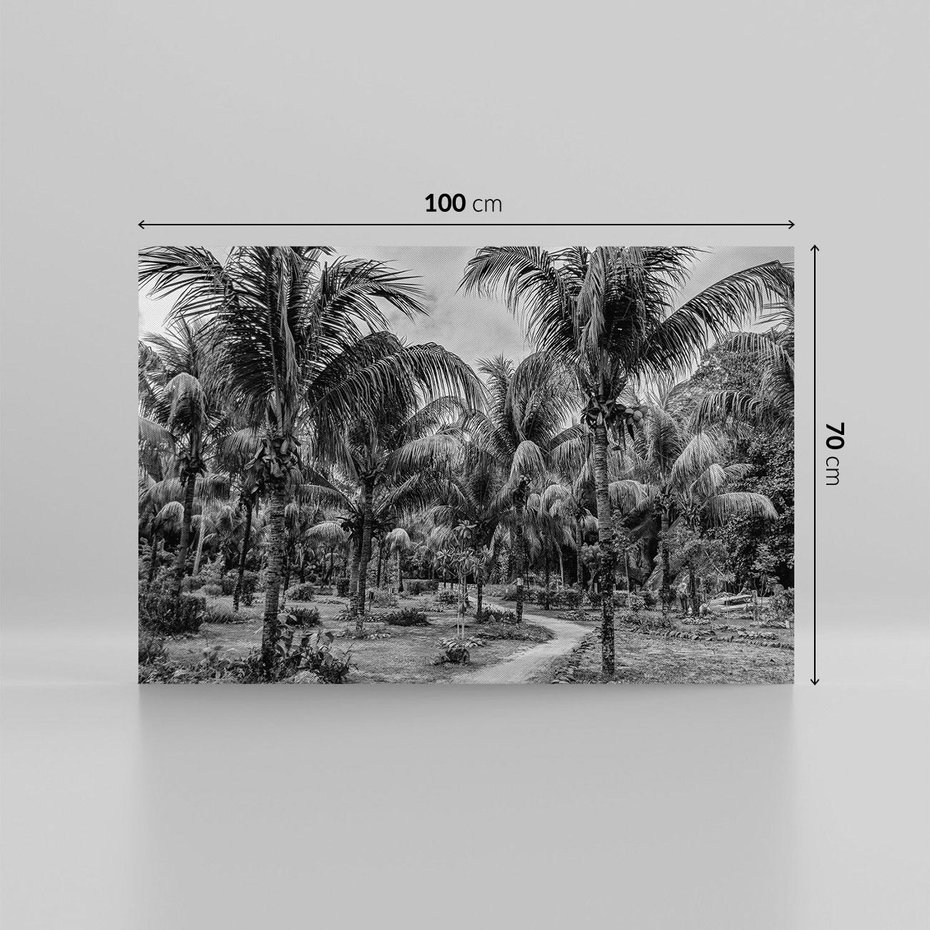 Obraz na płótnie 100x70 - Mroczna Ścieżka Tropików - czarno biała fotografia, ścieżka pośród palm