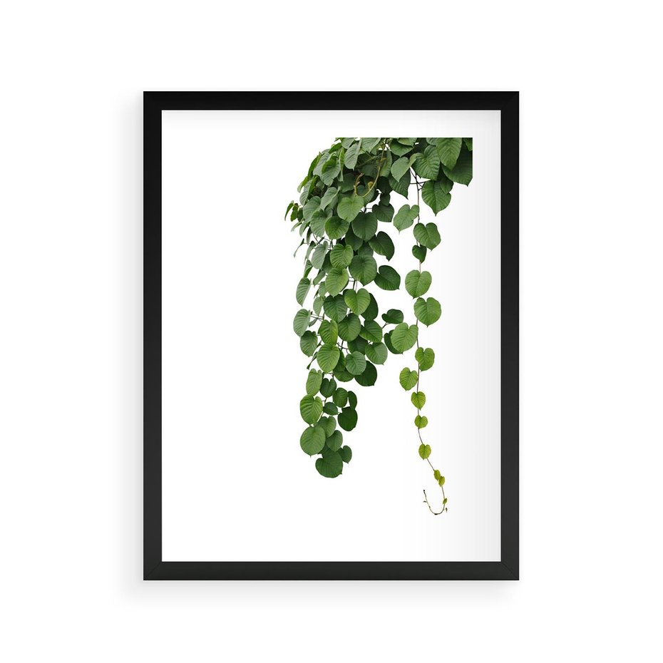 Plakat w ramie 30x40 - Świeżość Natury - liście, zielone - rama czarna
