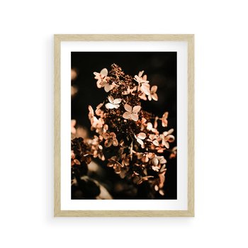Plakat w ramie 40x50 - Hortensja - Suchy Kwiat w Sztuce - hortensja, suchy kwiat - rama drewno