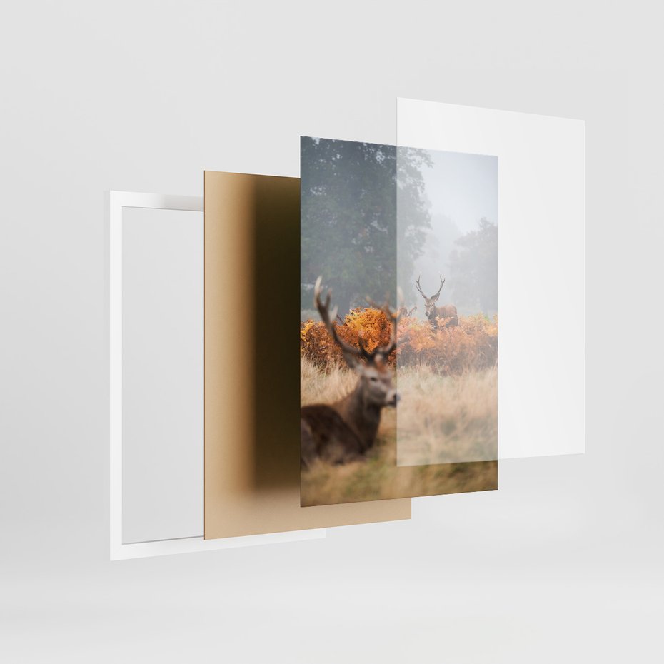 Zestaw obrazy w ramie 30x40 galeria - Góry, jelenie, skandynawski, las - rama biała