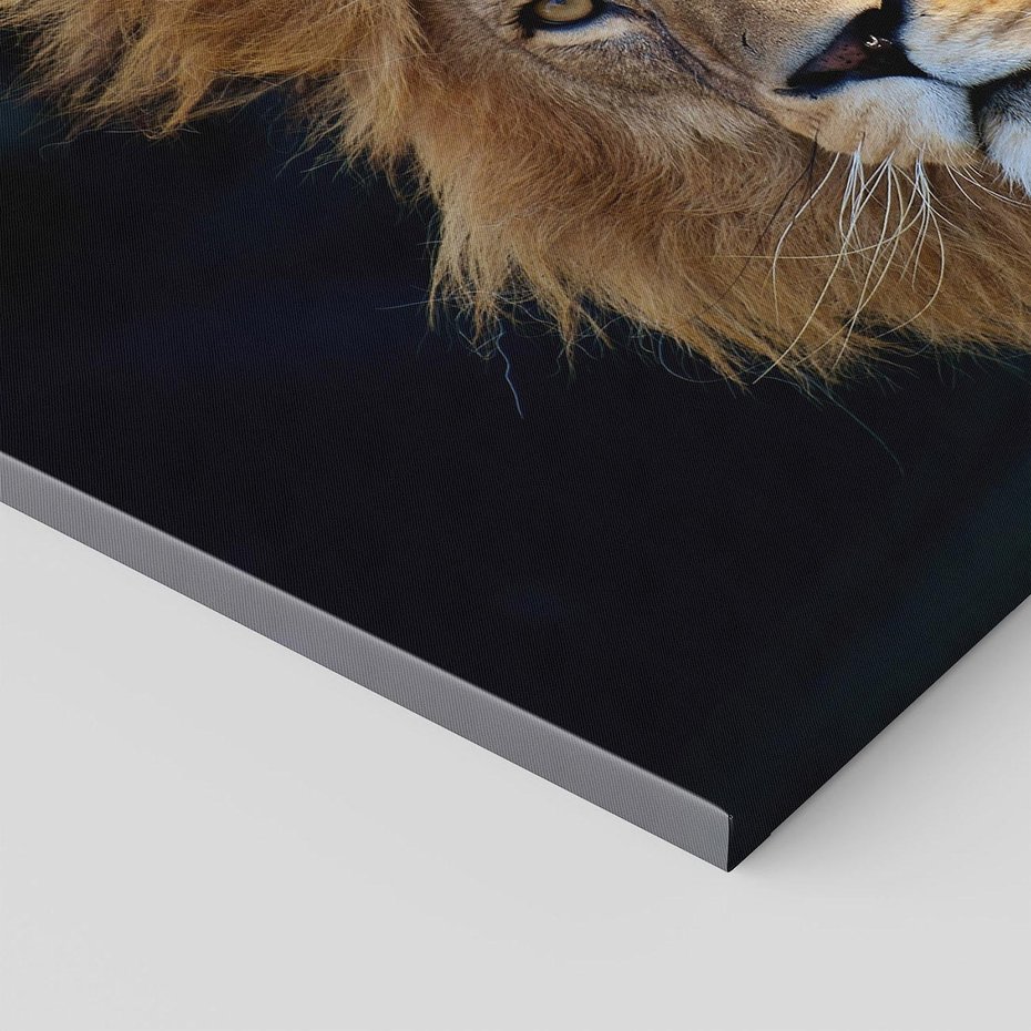 Obraz na płótnie 120x80 - Lew - Król Zwierząt - lew, zwierzęta