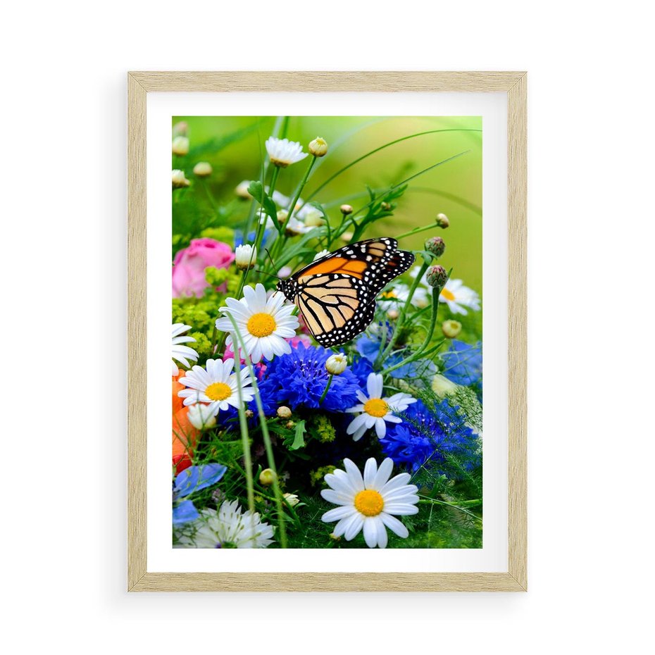 Plakat w ramie 50x70 - Kwiatowy Taniec - motyl, kwiaty - rama drewno