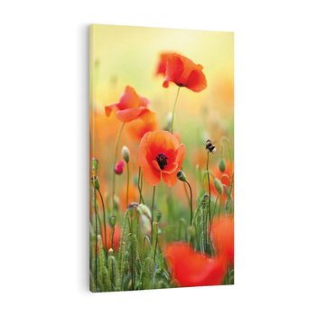 Obraz na płótnie 50x70 - Makowa Pasja - maki, kwiaty