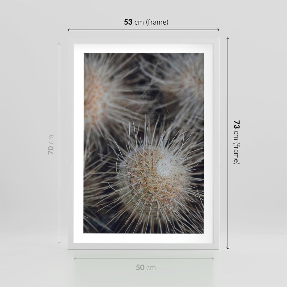 Plakat w ramie 50x70 - Ulotna Piękność Natury - makro, dmuchawce - rama biała