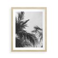 Plakat w ramie 40x50 - Palmy w Monochromii - palmy, tropikalne palmy - rama drewno