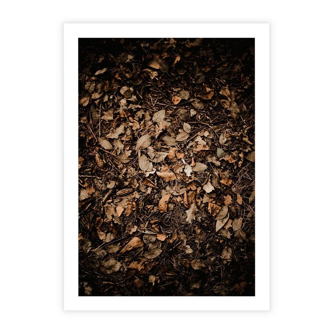Plakat bez ramy 30x40 - Brązowe Liście w Scenerii - suche liście jesień brąz