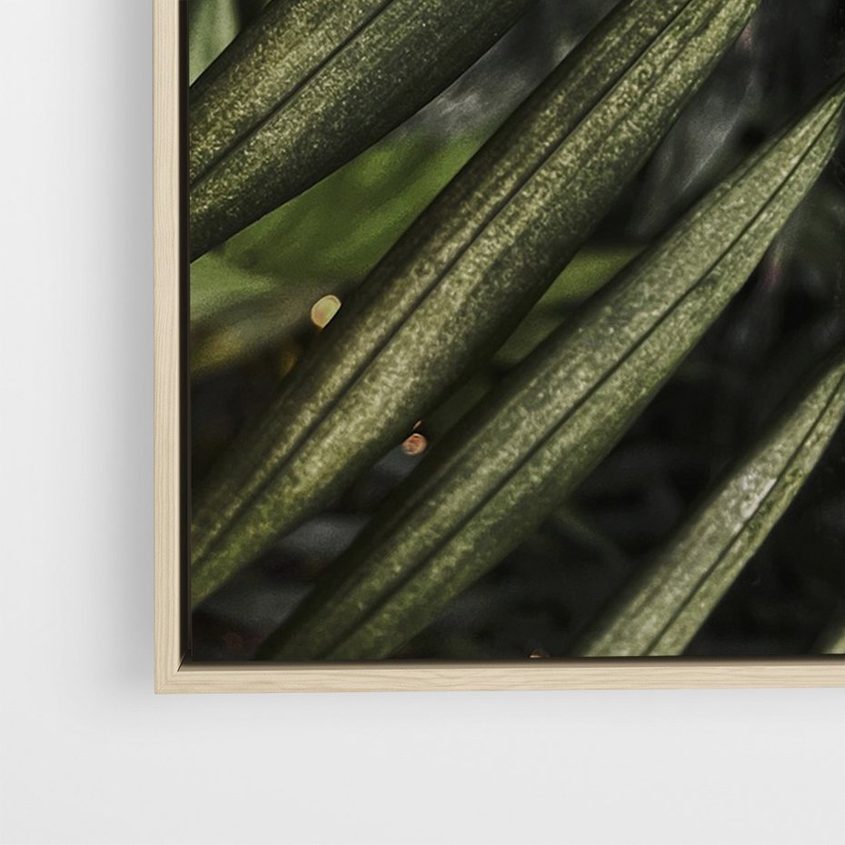 Obraz w ramie 50x70 - W Liściach Ukryte - zdjęcie, fotografia - rama drewno