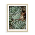 Plakat w ramie 50x70 - Zielona Uroda Sukulentów - sukulenty, zielone liście - rama drewno