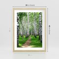 Plakat w ramie 30x40 - Bajkowy las pełen brzóz - las, brzozy - rama drewno
