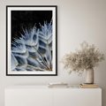 Plakat bez ramy 21x30 - Makro piękno dmuchawców - makro, dmuchawce