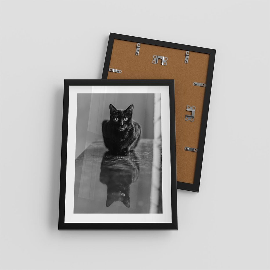 Plakat w ramie 30x40 - Kocie Oczy - kot, czarno białe zdjęcie - rama czarna