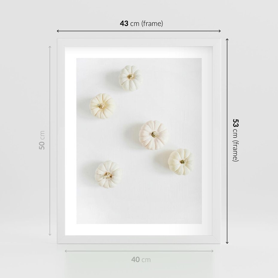 Plakat w ramie 40x50 - Biała Jesień: Dynie na Jasnym Tle - białe dynie, białe tło - rama biała