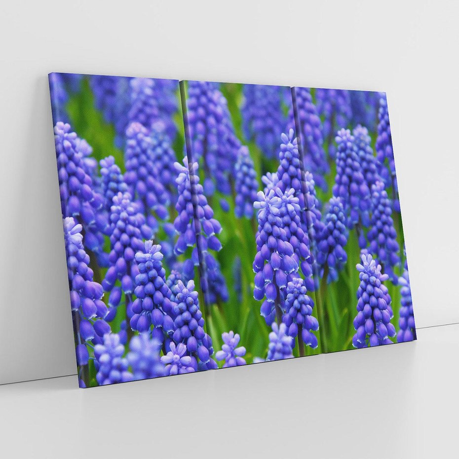 Obraz na płótnie 120x80 - Urok Lawendy - lawenda, kwiat