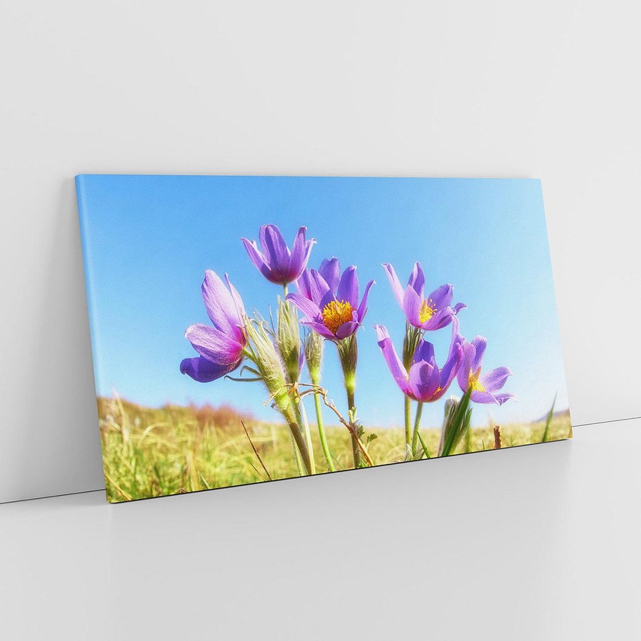 Obraz na płótnie 100x50 - Kwiatowa siła łąki - kwiaty, łąka