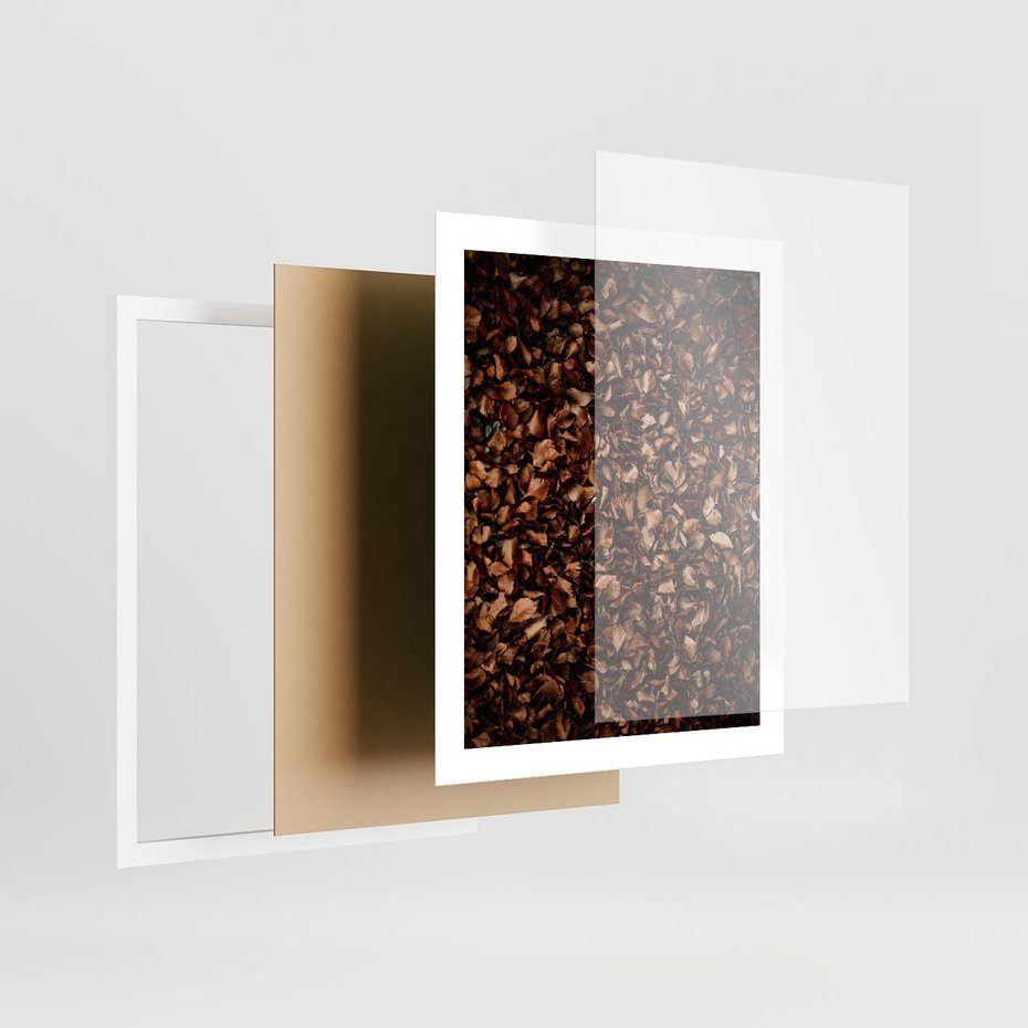 Plakat w ramie 40x50 - Jesienny Dywan - dywan z suchych liści, jesień - rama biała