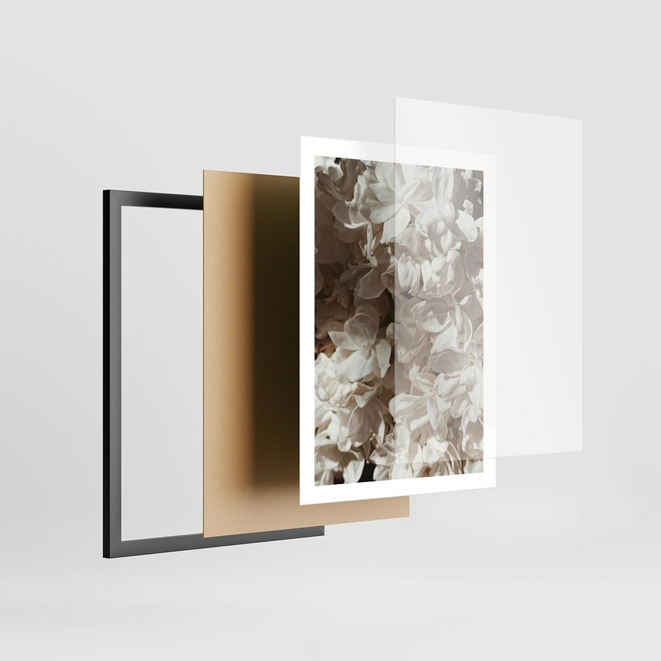Plakat w ramie 50x70 - Płatki w Detalu - białe kwiaty, zbliżenie - rama czarna