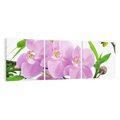 Obraz na płótnie 120x40 - Orchidea w SPA - spa, orchidea