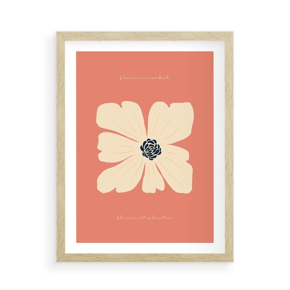 Plakat w ramie 50x70 - Malowane Kolorowe Echa - minimalistyczna grafika, biały kwiat na różowym tle - rama drewno