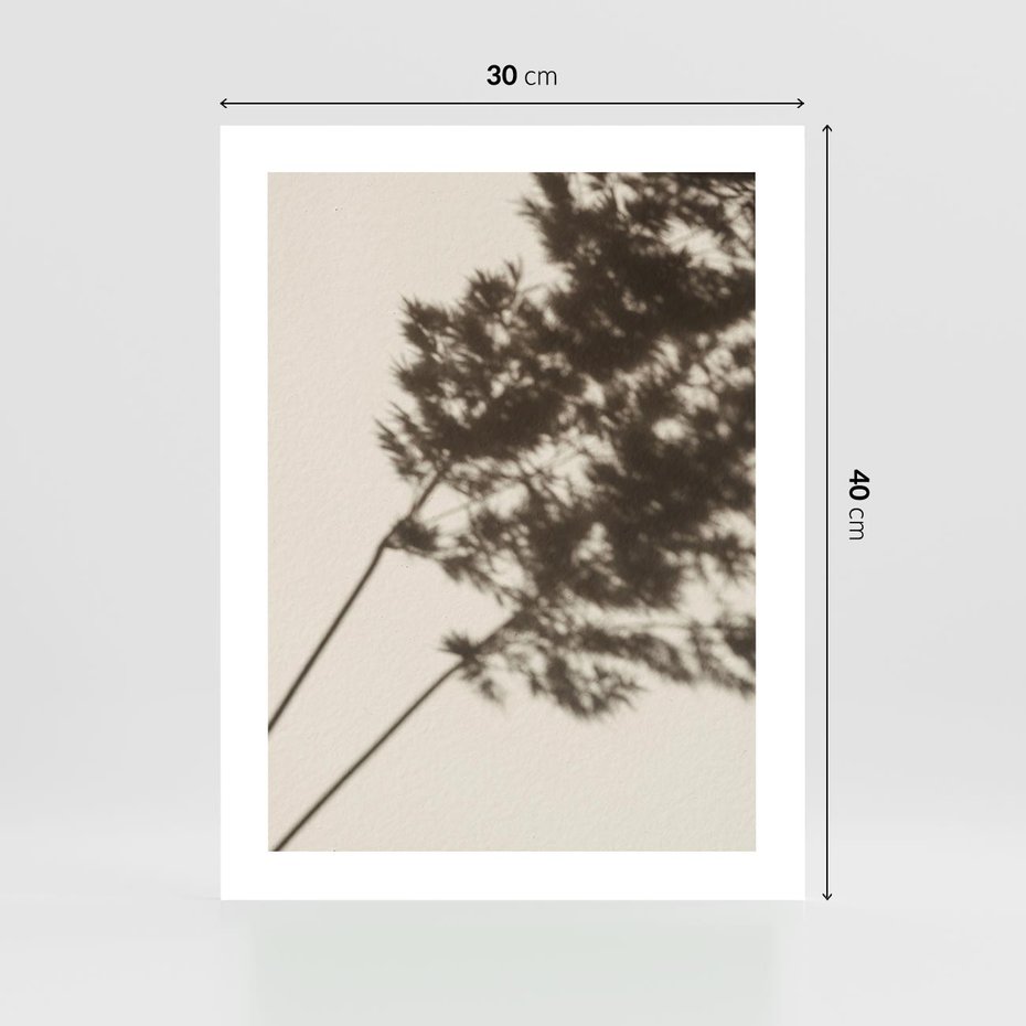 Plakat bez ramy 30x40 - Tajemniczy Cień Traw - cień traw, na ścianie