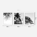 Zestaw obrazy w ramie 50x70 galeria - Palmy, czarno, biały, minimalizm - rama biała