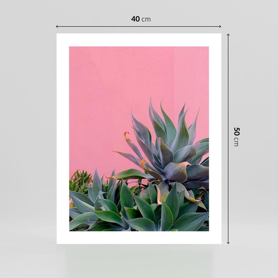 Plakat bez ramy 40x50 - Tropikalne Liście na Różowej Ścianie - różowa ściana, tropikalne liście na jej tle