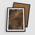 Plakat w ramie 50x70 - Szlachetna Suchość Traw - trawy, suche trawy - rama czarna