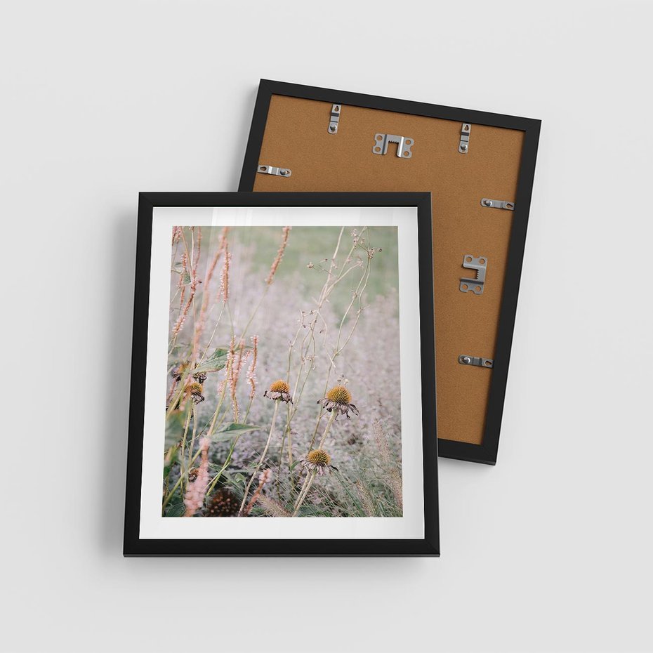Plakat w ramie 40x50 - Przyroda w Pełnym Blasku: Kolorowa łąka z Kwiatami - łąka, kwiaty na łące - rama czarna
