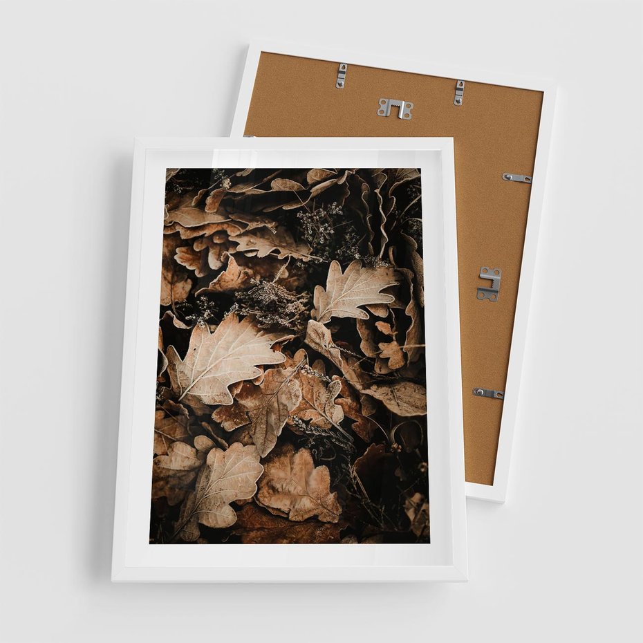 Plakat w ramie 50x70 - Jesienna Melodia: Liście i Szyszki - suche liście, szyszki - rama biała