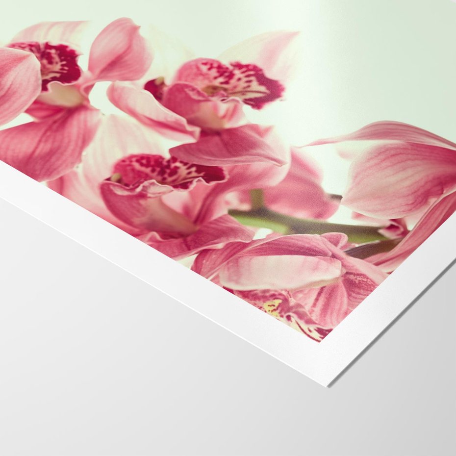 Plakat bez ramy 40x50 - Orchidea - delikatne kwiaty - orchidea, kwiaty