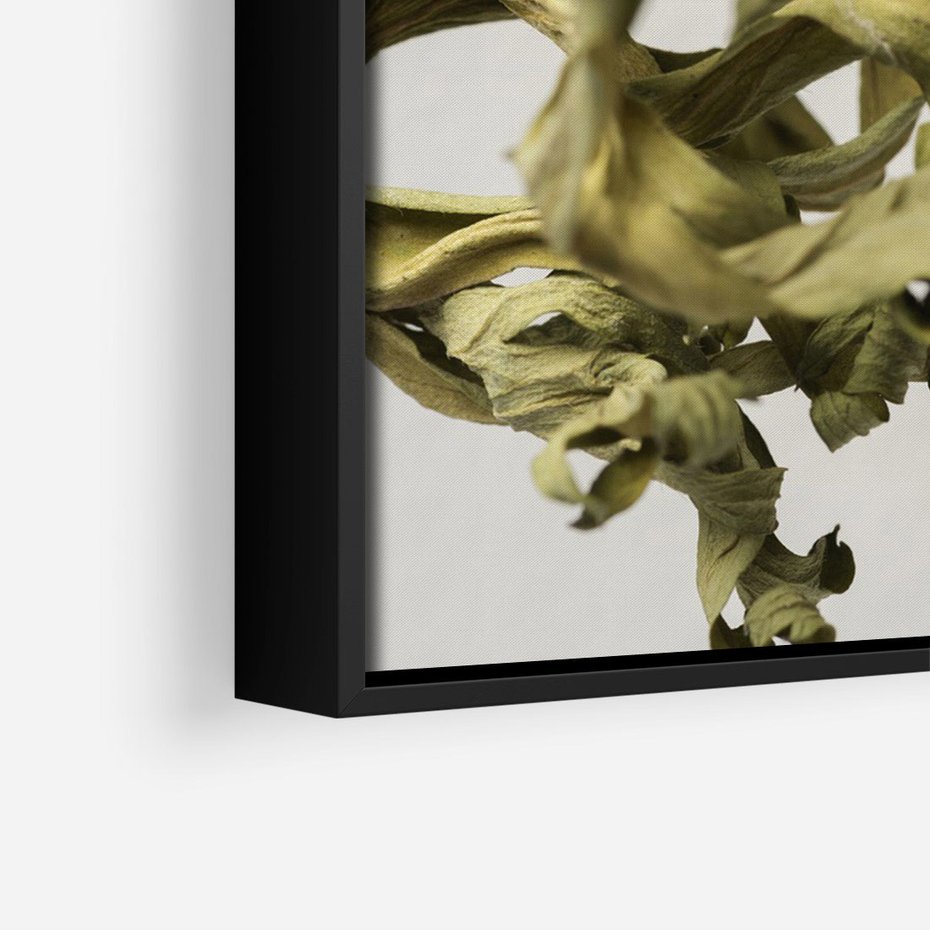 Obraz w ramie 70x100 - Odejście pory deszczowej - suche, trawy - rama czarna