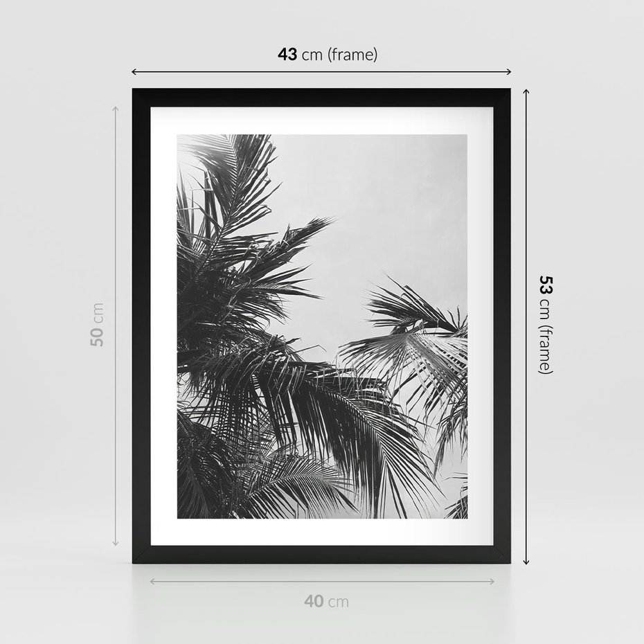 Plakat w ramie 40x50 - Palmy w Monochromii - palmy, tropikalne palmy - rama czarna
